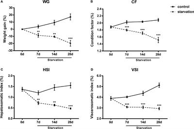 Partial immune responses in Sichuan bream (Sinibrama taeniatus) after starvation